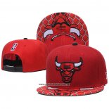 Gorra Chicago Bulls Rojo2