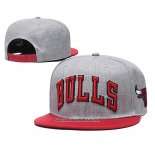 Gorra Chicago Bulls Rojo Gris
