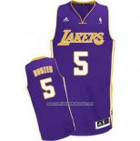 Camiseta Los Angeles Lakers Carlos Boozer #5 Violeta