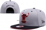 Gorra Chicago Bulls Snapbacks Gris